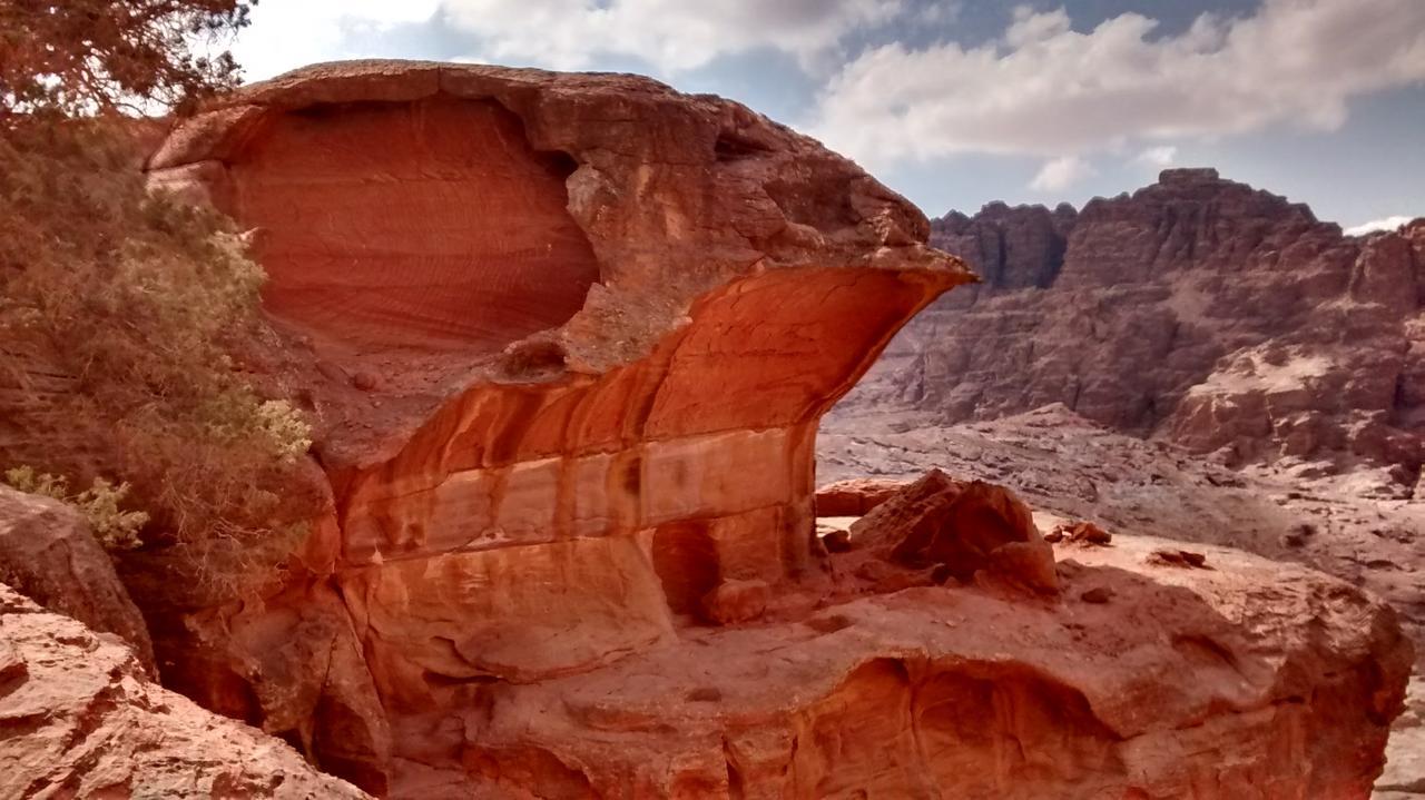 Petra Bedouin Bed And Breakfast Wadi Musa Exteriör bild
